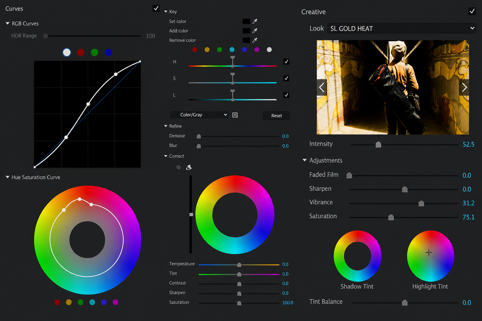 Colorgrading-Panel mit Farbkorrektur-Vorschau